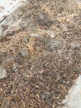 팜모닝 자유주제·자유게시판 게시글 이미지