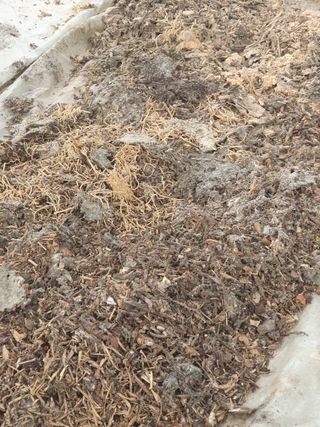 정봉원님의 자유주제 · 자유게시판 작성글 사진