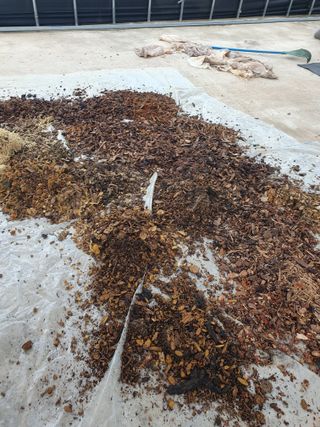 정봉원님의 자유주제 · 자유게시판 작성글 사진