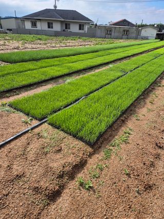 조영자님의 작성글 사진