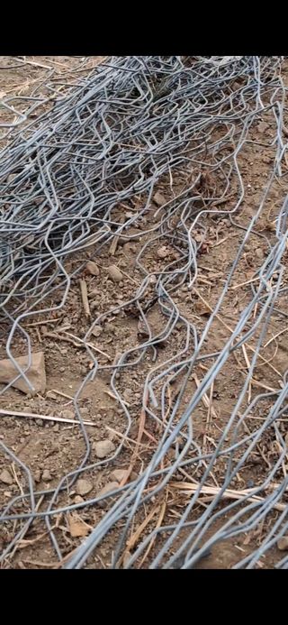 미스농부님의 자유주제 · 자유게시판 작성글 사진