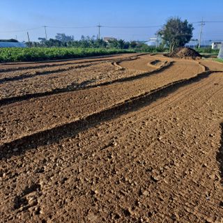 문식님의 마늘 · 영농일지 작성글 사진