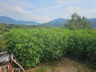 김명진님의 작성글 사진