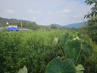 김명진님의 작성글 사진