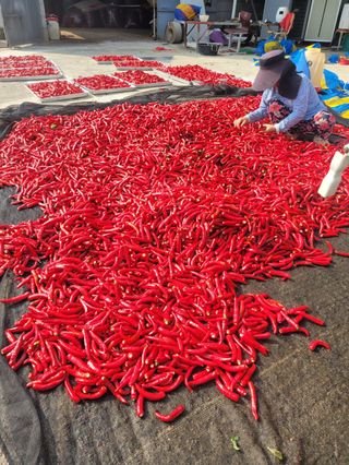 이은영님의 작성글 사진