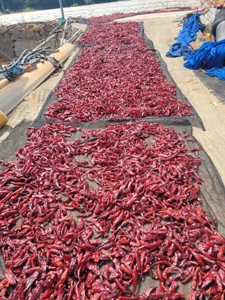 이은영님의 작성글 사진