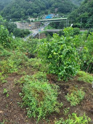 김용대님의 자유주제 · 자유게시판 작성글 사진