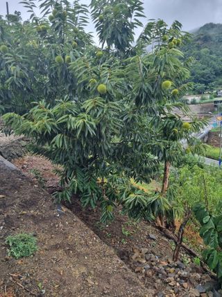 김용대님의 자유주제 · 자유게시판 작성글 사진