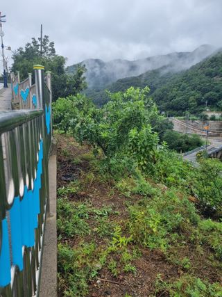 김용대님의 자유주제 · 자유게시판 작성글 사진