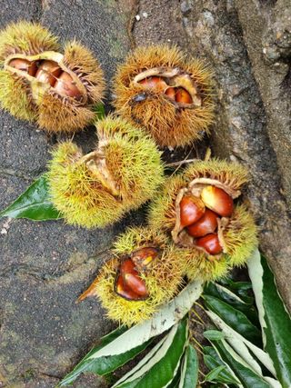 김용대님의 자유주제 · 자유게시판 작성글 사진