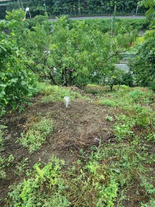 김용대님의 자유주제 · 자유게시판 작성글 사진