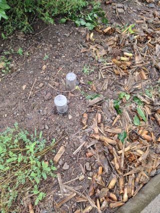 김용대님의 자유주제 · 자유게시판 작성글 사진