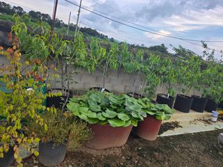 자연인님의 자유주제 · 자유게시판 작성글 사진