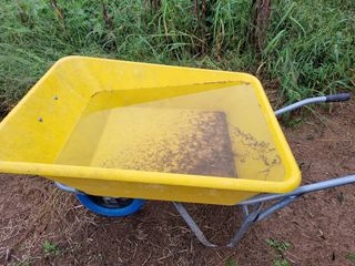 들꽃농장님의 자유주제 · 자유게시판 작성글 사진