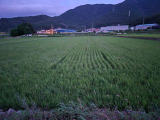 사천시향촌동 돼지띠님의 자유주제 · 자유게시판 작성글 사진