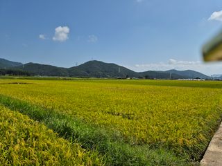 사천시향촌동 돼지띠님의 자유주제 · 자유게시판 작성글 사진