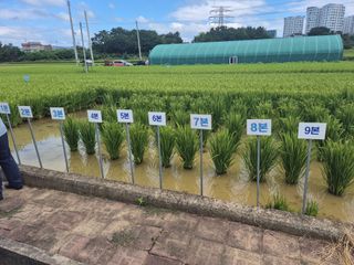 사천시향촌동 돼지띠님의 자유주제 · 자유게시판 작성글 사진