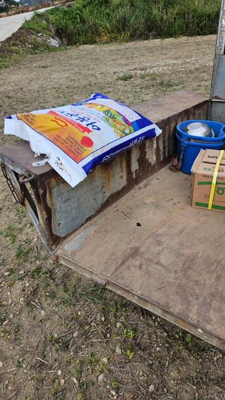 도초이삭님의 시금치 · 영농일지 작성글 사진