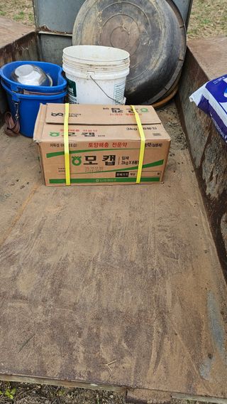 도초이삭님의 시금치 · 영농일지 작성글 사진