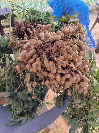 정택님의 자유주제 · 자유게시판 작성글 사진