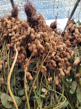 정택님의 자유주제 · 자유게시판 작성글 사진