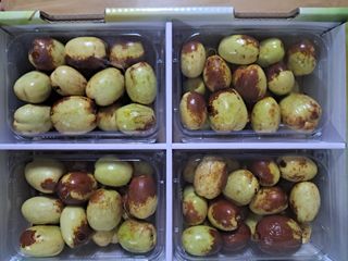 알 수 없음님의 기타작물 · 영농일지 작성글 사진