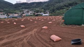 돌산갓농부(김승렬)님의 기타작물 · 영농일지 작성글 사진