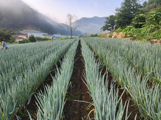 노문우님의 자유주제 · 자유게시판 작성글 사진