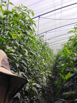 팜모닝 자유주제·자유게시판 게시글 이미지