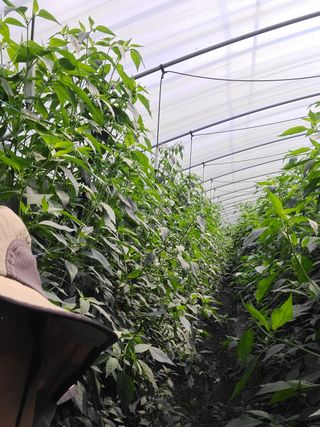 노고단님의 자유주제 · 자유게시판 작성글 사진