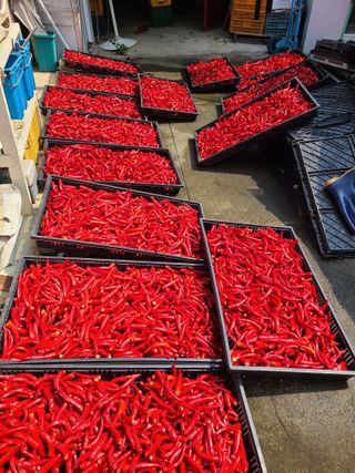 노고단님의 자유주제 · 자유게시판 작성글 사진