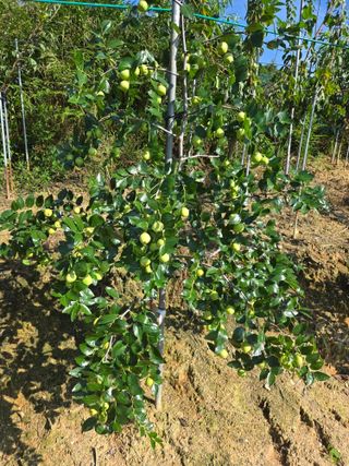 자연인님의 자유주제 · 자유게시판 작성글 사진