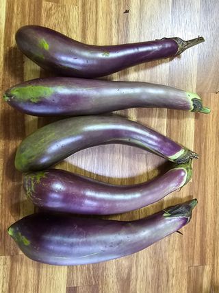 화니네농장님의 기타작물 · 영농일지 작성글 사진