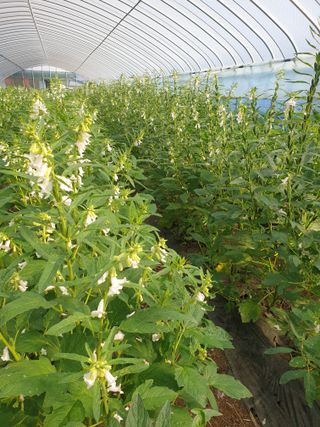 허굴산농장님의 자유주제 · 자유게시판 작성글 사진