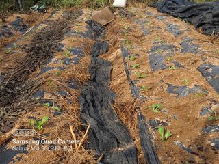 MSG0074님의 자유주제 · 자유게시판 작성글 사진