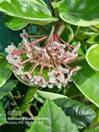 MSG0074님의 자유주제 · 자유게시판 작성글 사진