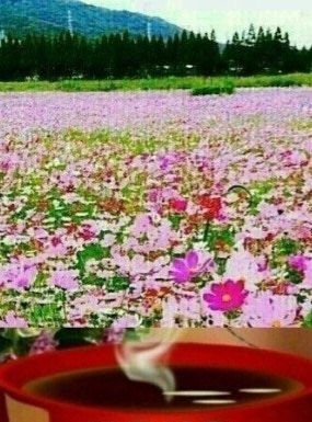 MSG0074님의 자유주제 · 자유게시판 작성글 사진