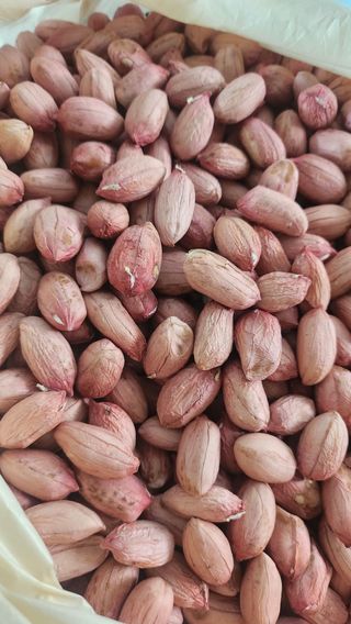 박종기님의 기타작물 · 영농일지 작성글 사진