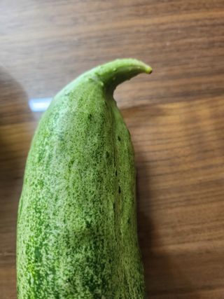 감자21426님의 자유주제 · 자유게시판 작성글 사진