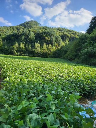 김창현님의 유해동물 퇴치하는 비법 공유해주세요 · 참여글 작성글 사진