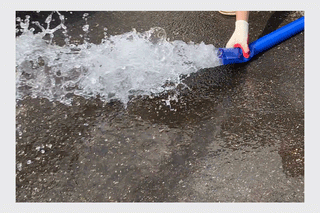 유니즈님의 작성글 사진