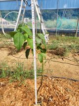 팜모닝 자유주제·자유게시판 게시글 이미지