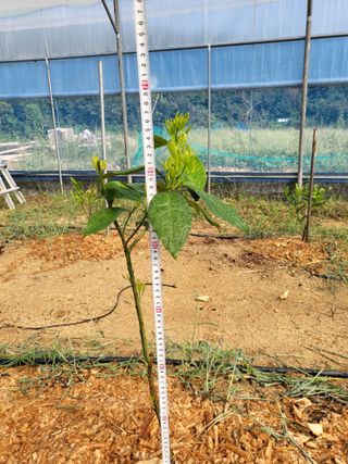 강태욱님의 자유주제 · 자유게시판 작성글 사진