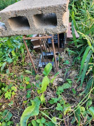 감자21426님의 유해동물 퇴치하는 비법 공유해주세요 · 참여글 작성글 사진