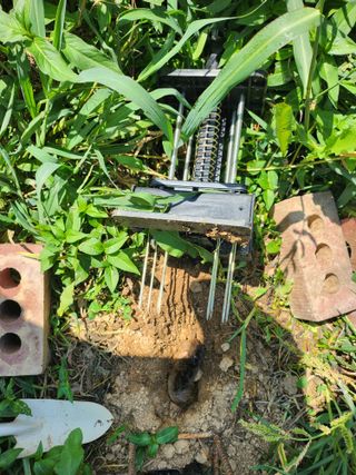 감자21426님의 유해동물 퇴치하는 비법 공유해주세요 · 참여글 작성글 사진