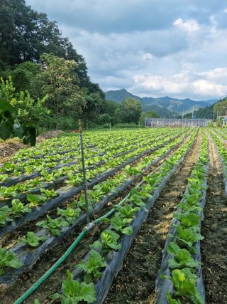 오태원님의 자유주제 · 사진전 작성글 사진