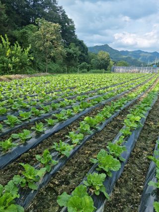 오태원님의 자유주제 · 사진전 작성글 사진
