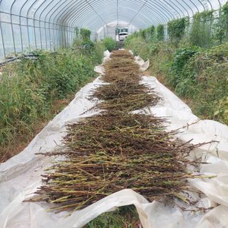 강원도 횡성군님의 자유주제 · 자유게시판 작성글 사진