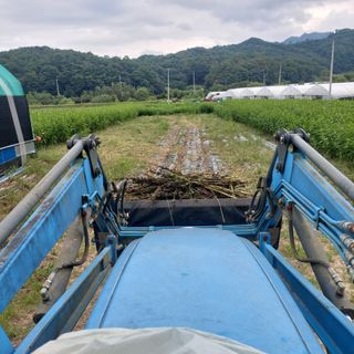 강원도 횡성군님의 자유주제 · 자유게시판 작성글 사진