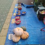 팜모닝 자유주제·사진전 게시글 이미지